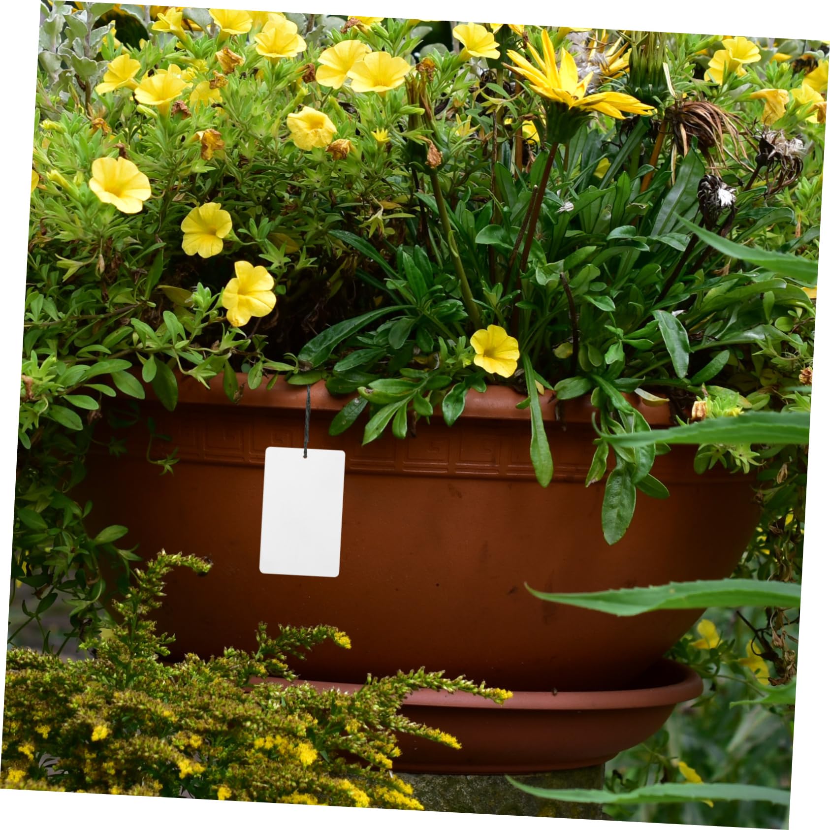 BESPORTBLE 4er-set Pflanzenzubehör: Aluminium-pflanzenetiketten Pflanzenetiketten Zur Verwendung Im Garten 50 Stück X 4