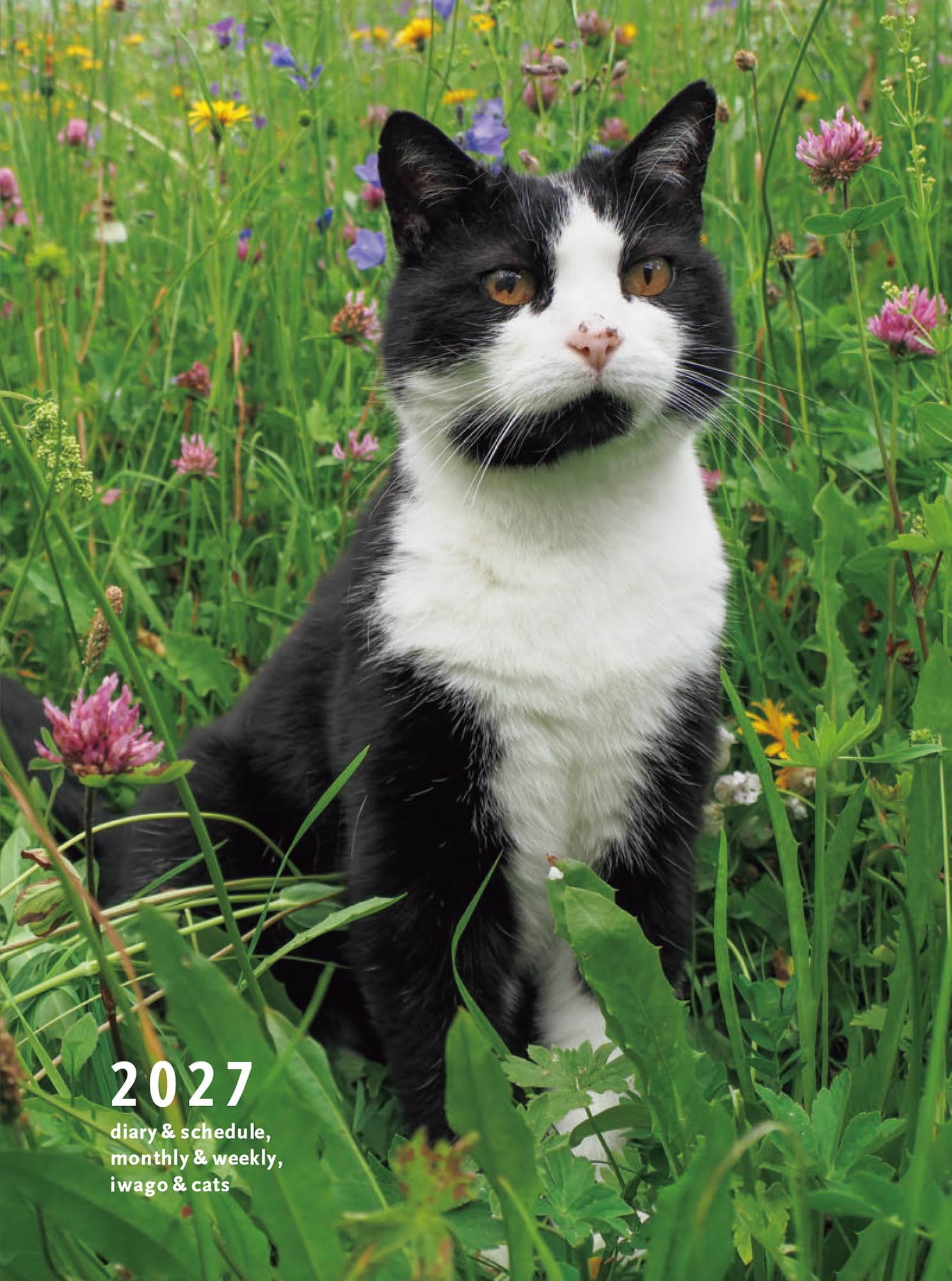 2027 岩合光昭 ねこ手帳 | 岩合 光昭, 岩合 光昭 |本 | 通販 | Amazon