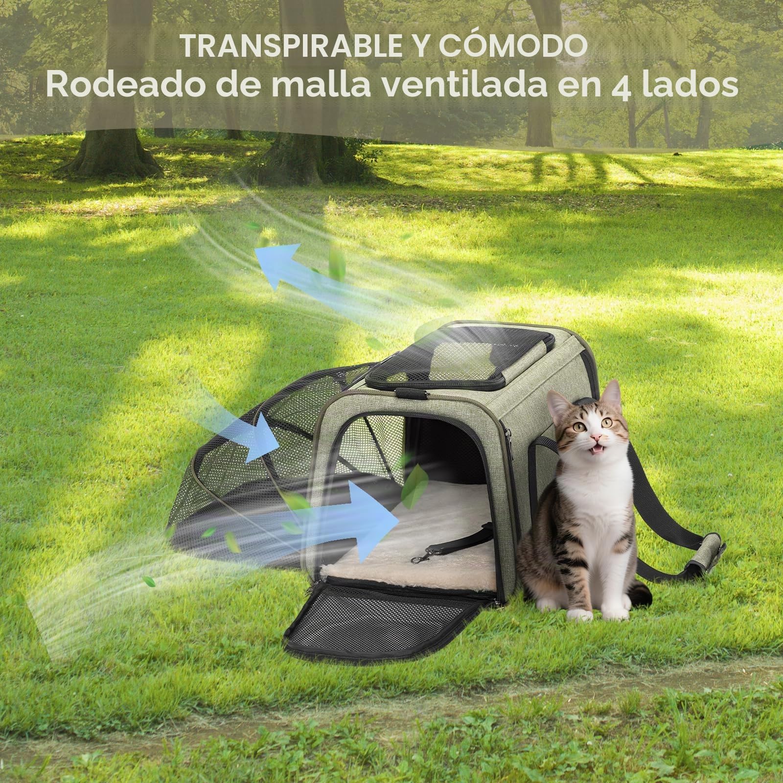 Petsfit - Transportín expandible para mascotas aprobado por aerolíneas, transportador de gatos y perros de lado suave portátil, con alfombrilla de felpa extraíble, cierres de seguridad con candado y