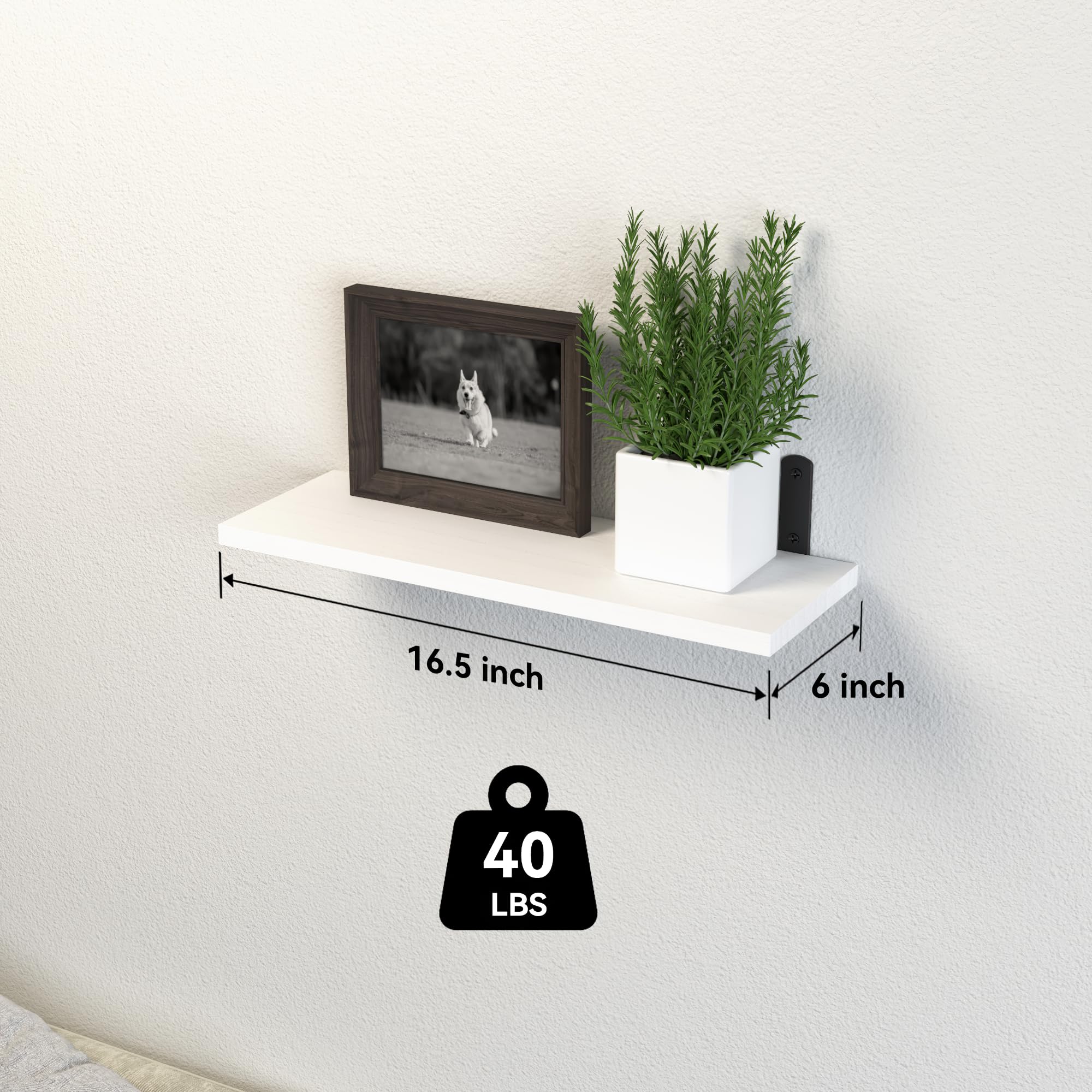 https://m.media-amazon.com/images/I/81v5+FUptuL.jpg