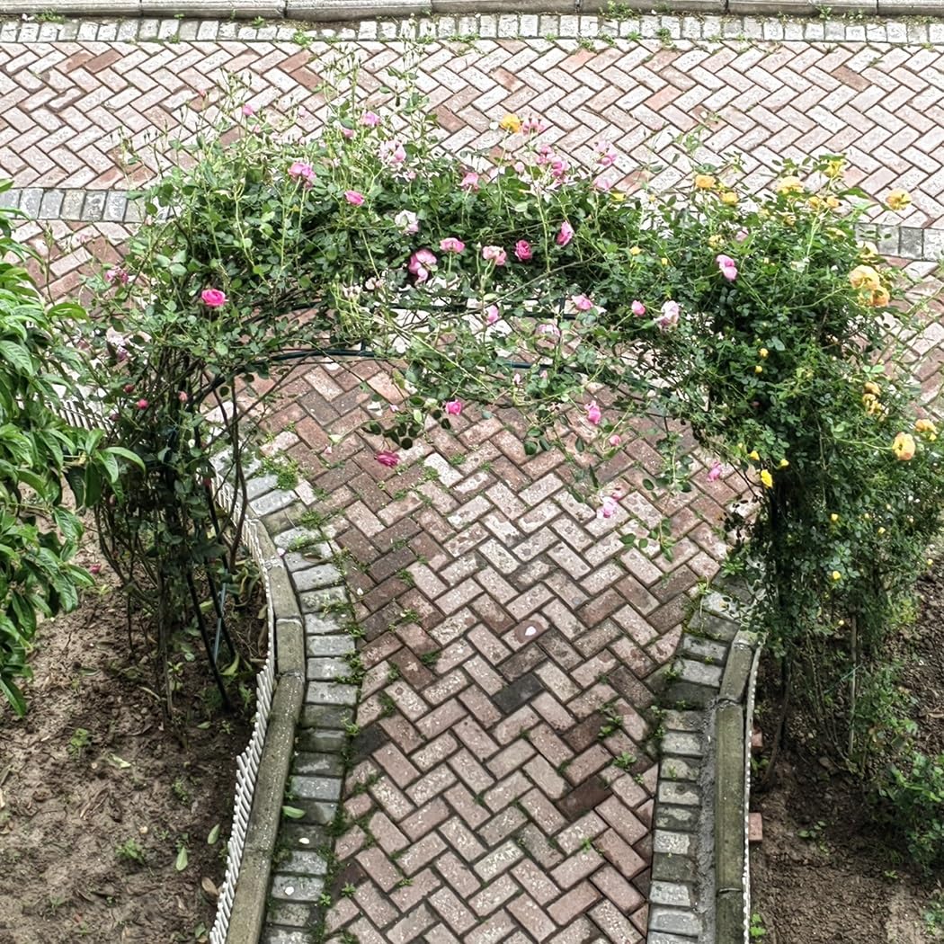 Metalowy łuk ogrodowy do roślin pnących, ocynkowana, biała altanka, 2 m x 2,5 m, łuk ślubny, do dekoracji zewnętrznych, idealny na Boże Narodzenie i przyjęcia urodzinowe