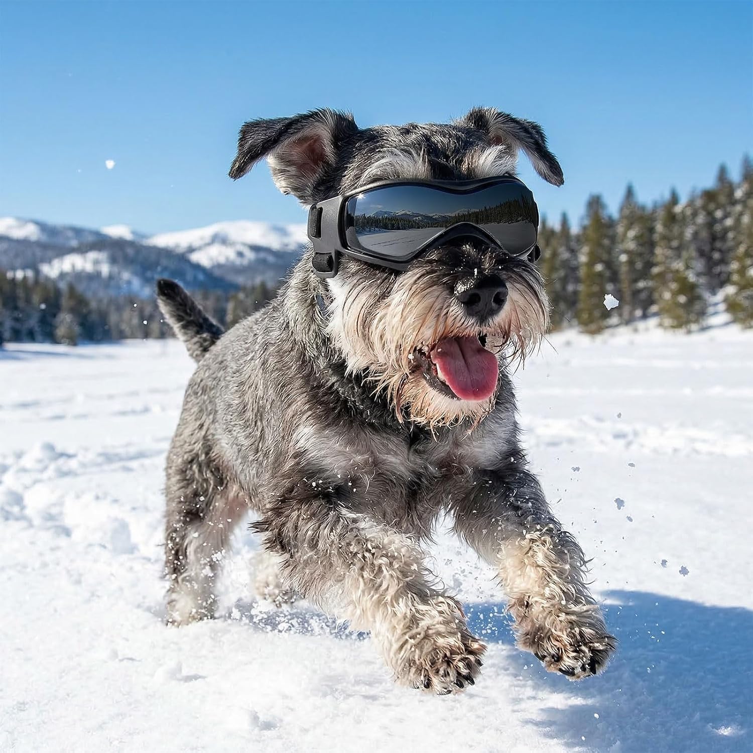 Ownpets Dog Goggles, UV Protection with Adjustable Strap for Medium Dogs | Anti-Fog Lens, Soft Foam Padding for Comfort, Secure Fit for Outdoor Hiking Skiing, Protects Eyes from UV Wind Dust & Debris