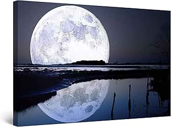 81v5AzUEldL._AC_UF350,