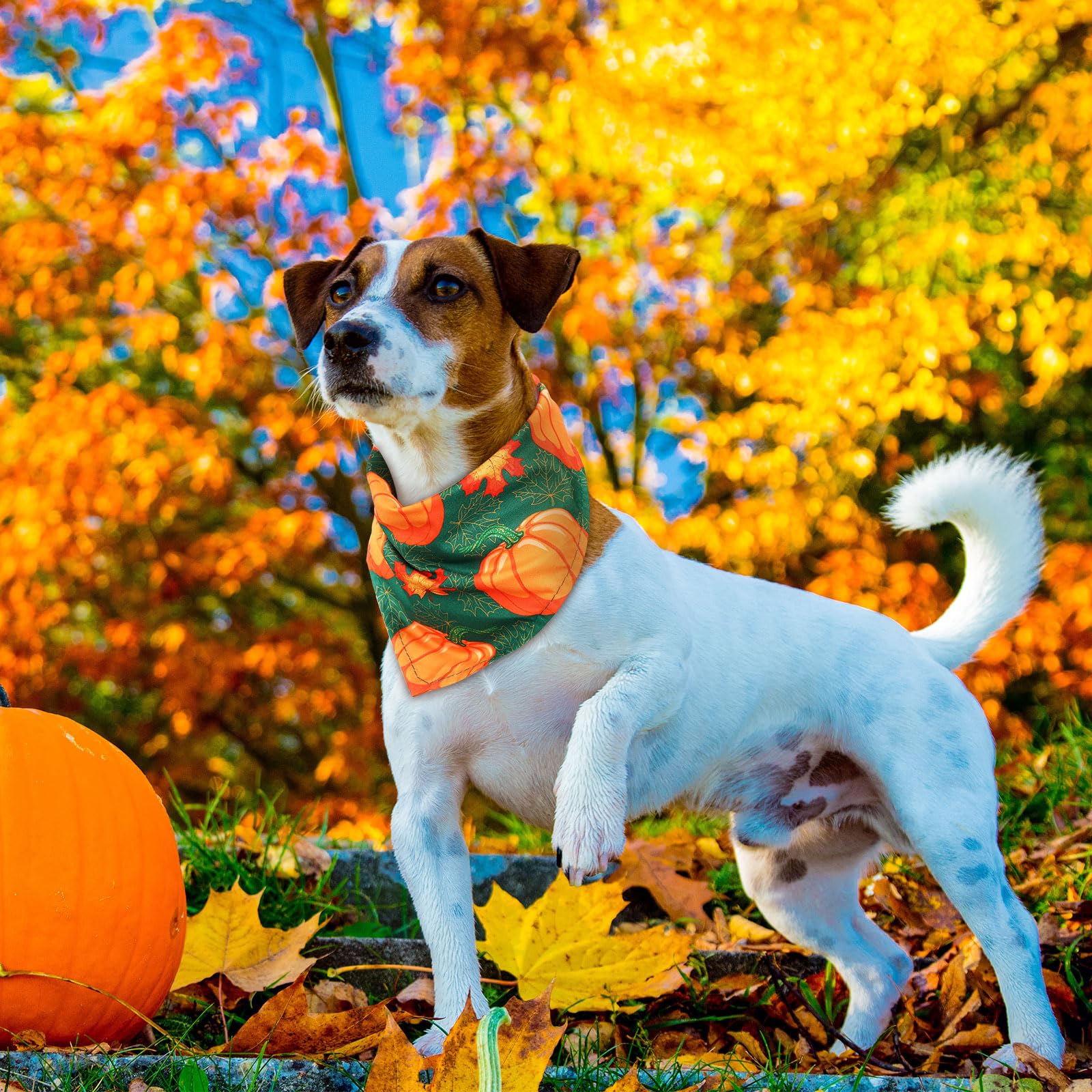 Sweetude Hundehalstücher für Hunde, Kürbis-Ahornblätter, Dreieckstuch, Lätzchen für mittelgroße und kleine Haustiere, Herbst-Kostüm-Zubehör, 100 Stück