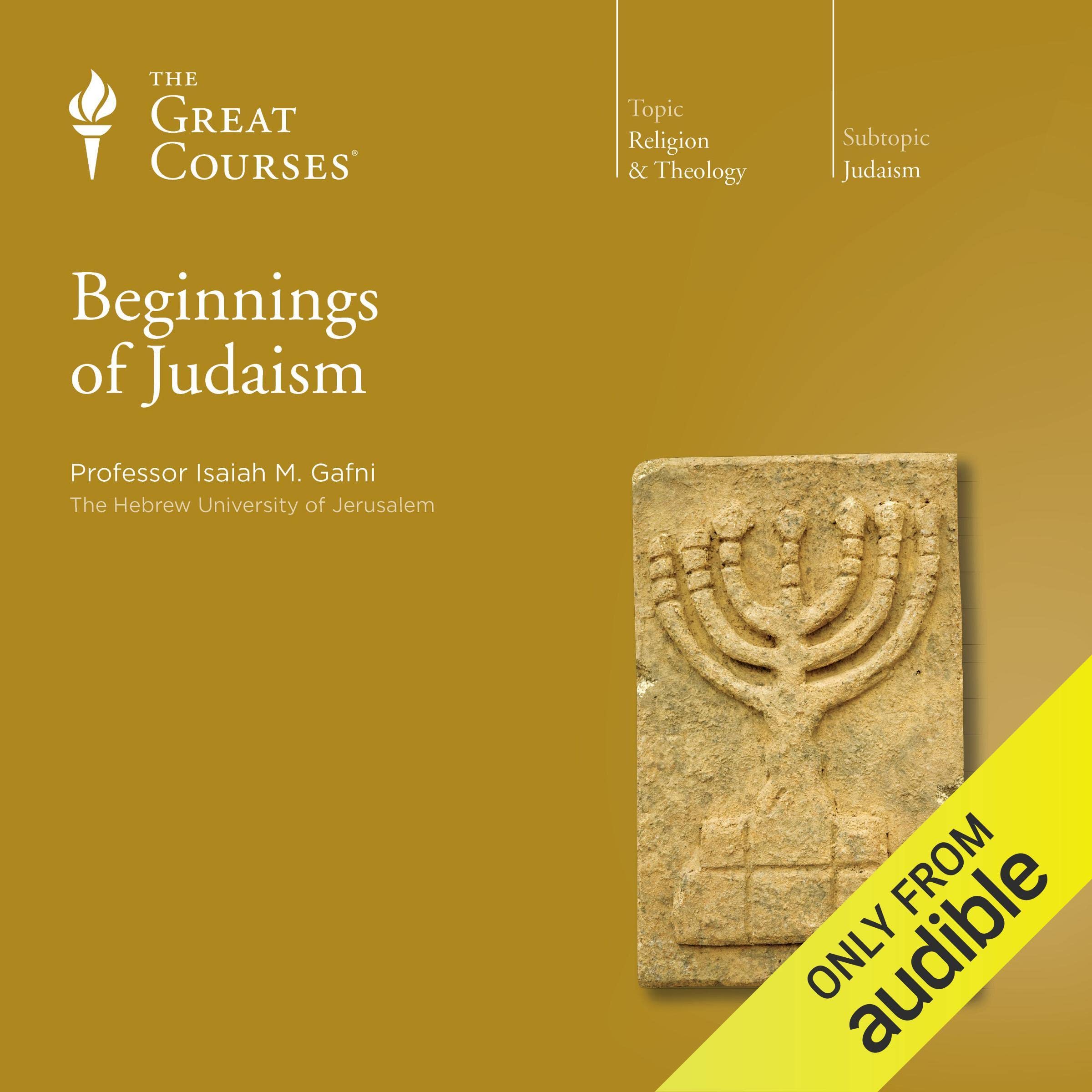 Cover art for Beginnings of Judaism