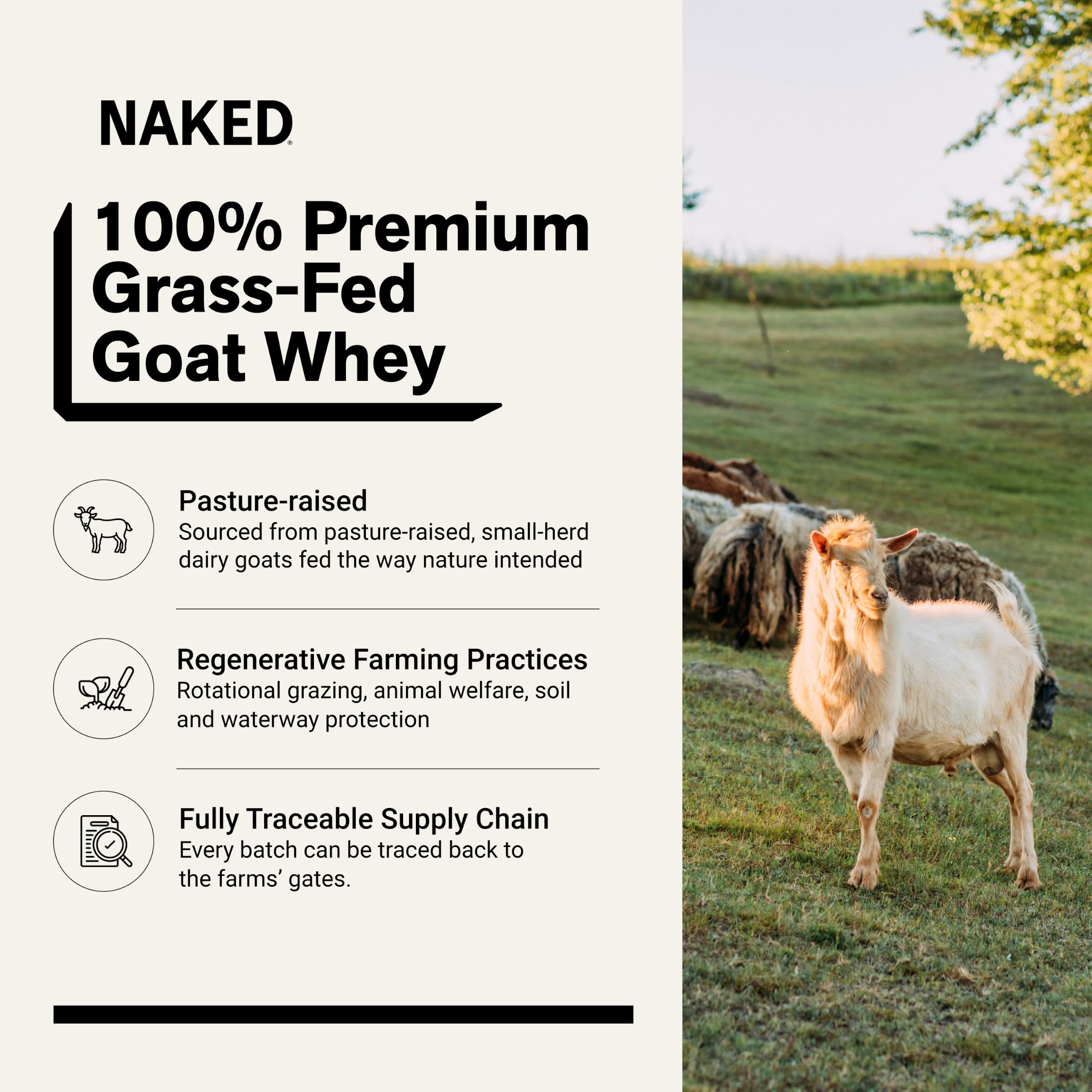 NAKED Goat - Pasture Fed Goat Whey Protein Powder from Small-Herd Wisconsin Dairies, 2Lb Bulk, GMO Free, Soy Free. Easy to Digest - All Natural - 23 Grams of Protein - 30 Servings — Amazon image 2