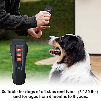 Amazon.com : Barks No More Dog Training Device, Ultrasonic
