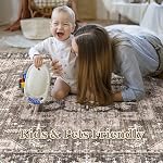 Area Rugs 9x12 Rug for Living Room - Washable Non-Slip Backing Rugs,Soft Stain Resistant Vintage Farmhouse Carpet for Bedroom Dining Room Nursery Office Living Room Rug - Dark Brown