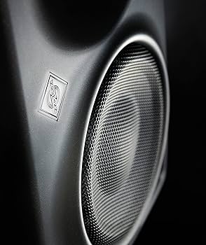 Amazon | Neumann ノイマン KH 80 DSP A G EU モニター
