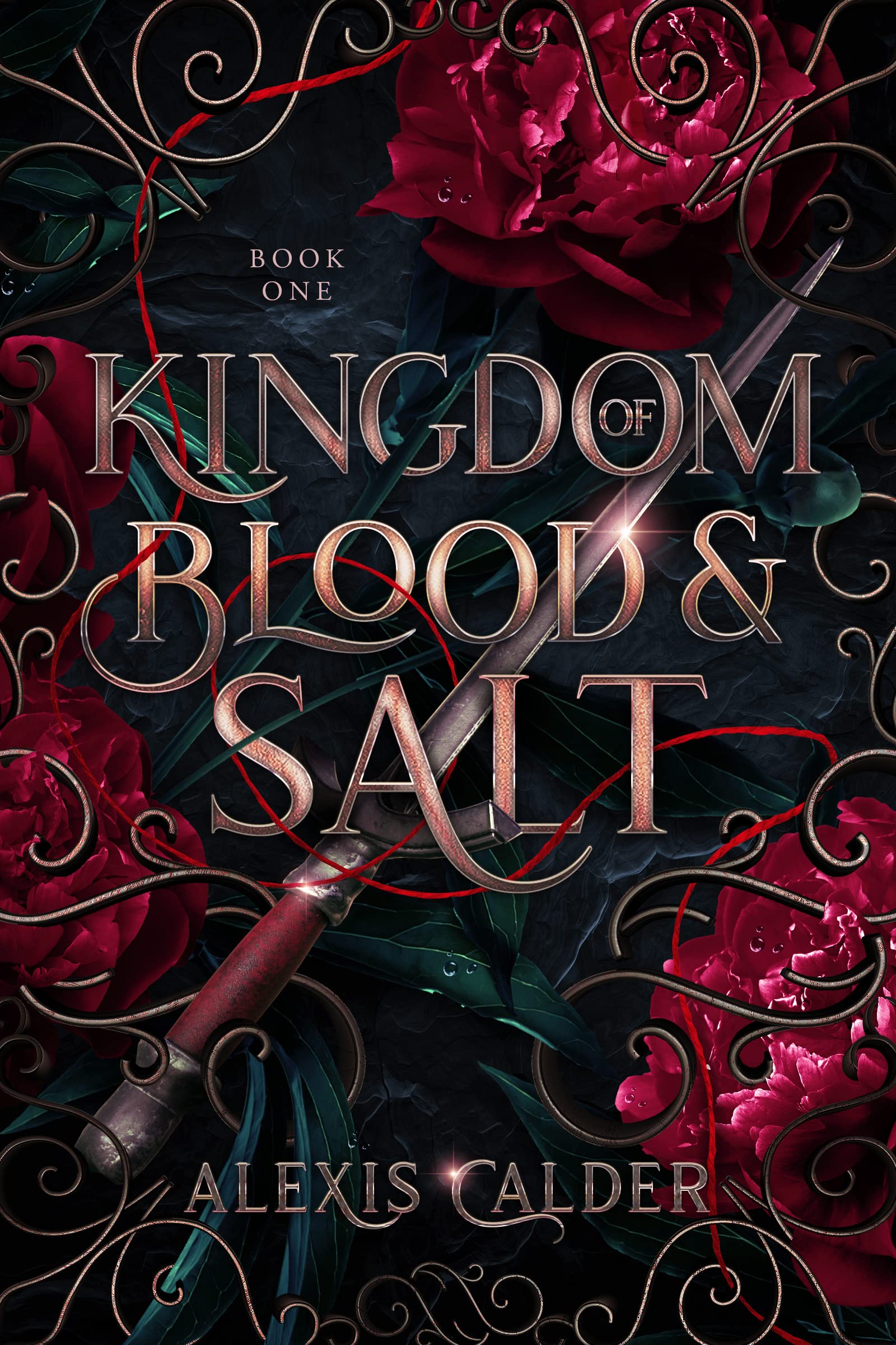 Book cover for Kingdom of Blood and Salt