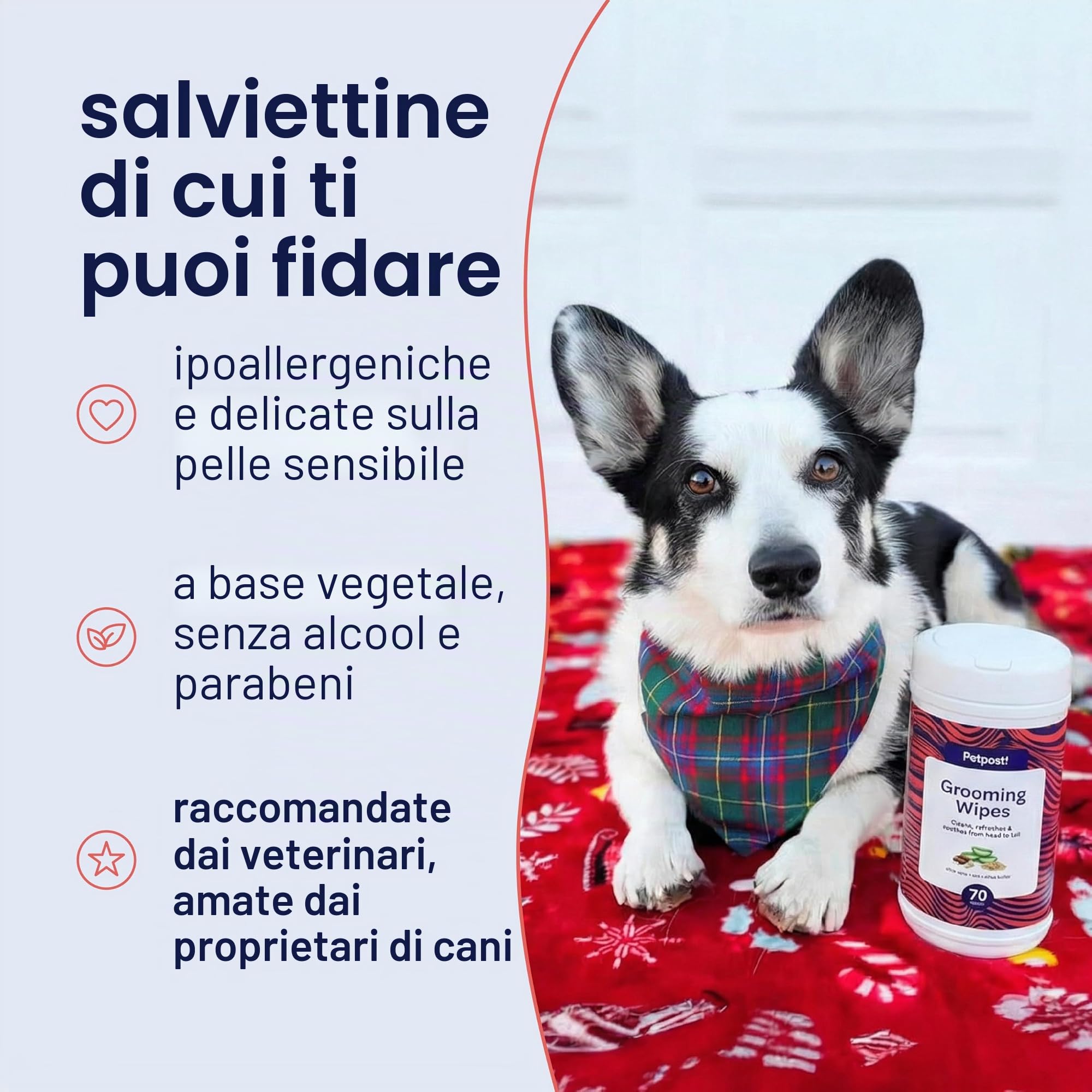 Petpost | Salviette per la Pulizia dei Cani - Salviette Grandi e Deodoranti al Profumo di Fiori di Ciliegio - 70 Tamponi in Cotone Ultra Morbido con Soluzione Detergente (Fiori di Ciliegio)