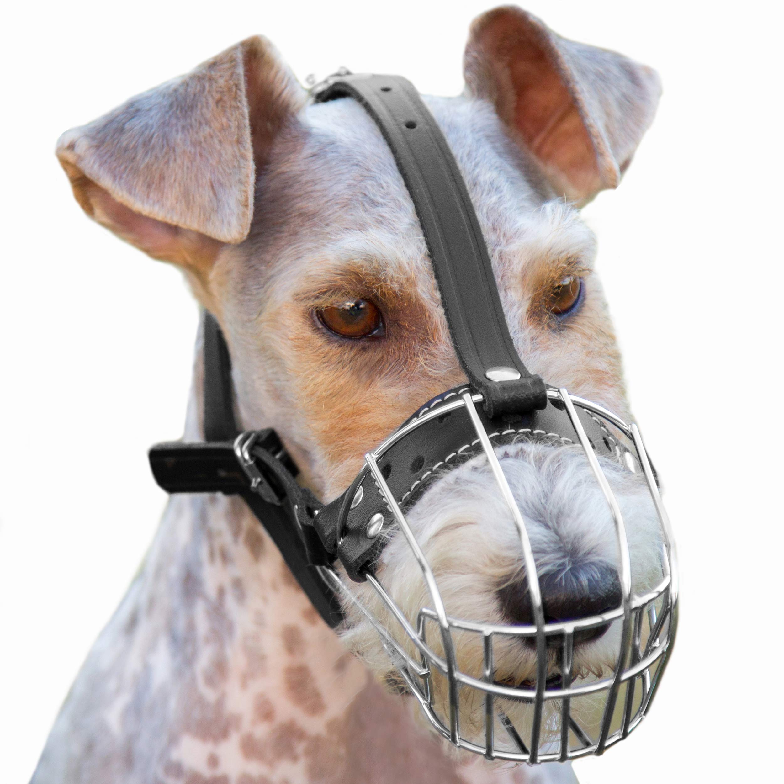 Bozales de Metal Cromado para Perros, Correas de Cuero Ajustables (№3) La Circunferencia es de 19,8-23,8 cm, la Longitud es de 8,3-9 cm