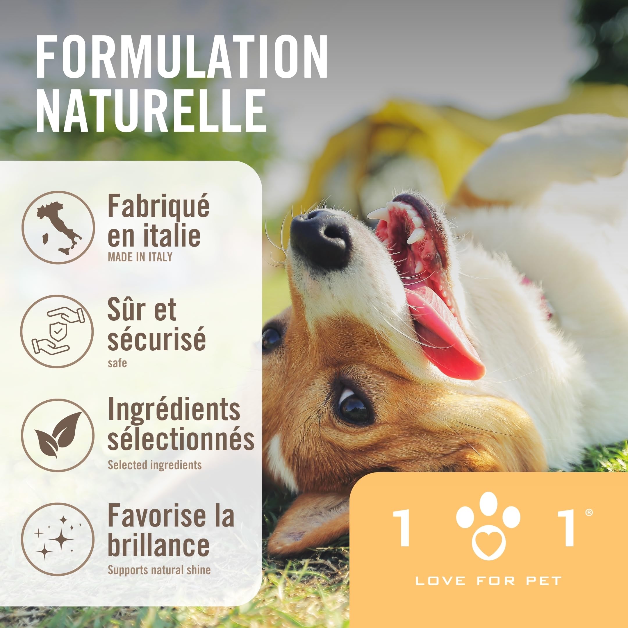Spray Demelant Chien Naturel 250ml Demelant Chien Poil Long avec Ingrédients et Huiles Végétaux Convient à Tous Les Types de Pelage Doux et Brillant Formule Antistatique Professionnelle Linea 101