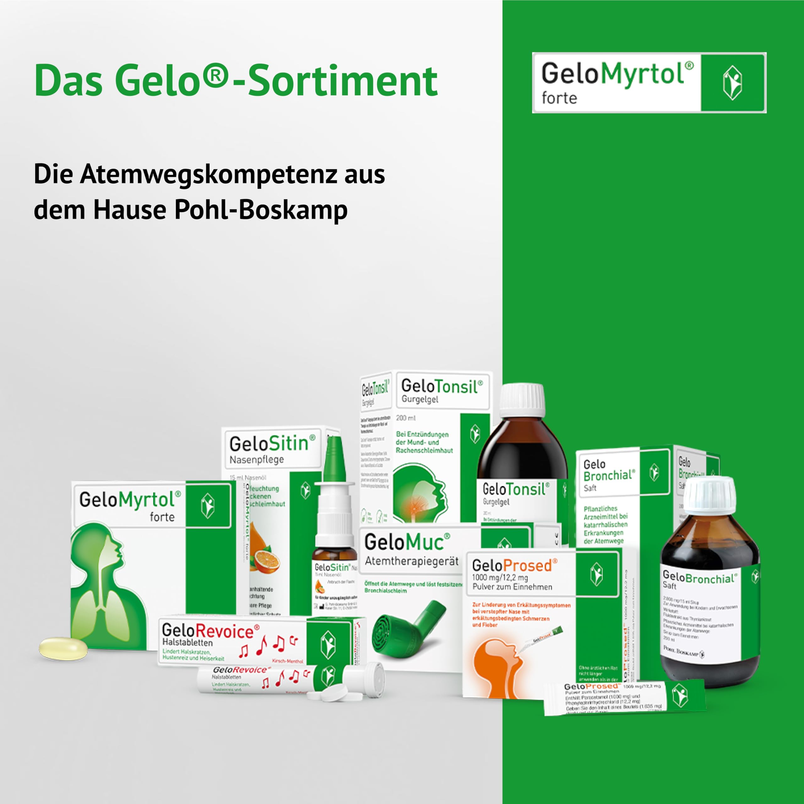 GeloMyrtol forte: Pflanzlicher Schleimlöser für akute und chronische Infektionen der oberen und unteren Atemwege mit Husten, Schnupfen und Druckkopfschmerz - ab 6 Jahren, 2 x 100 Kapseln