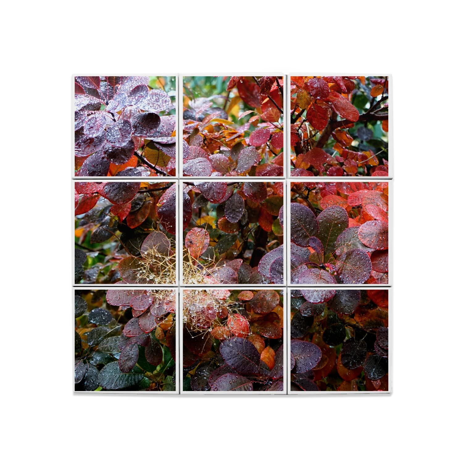 Fabulous Lot x9 Carreaux Céramique Décoratif 15,2 x 15,2 cm - Feuilles d'arbres aux Couleurs d'Automne sous la Rosée Nature (Taille totale 45,6 x 45,6cm)
