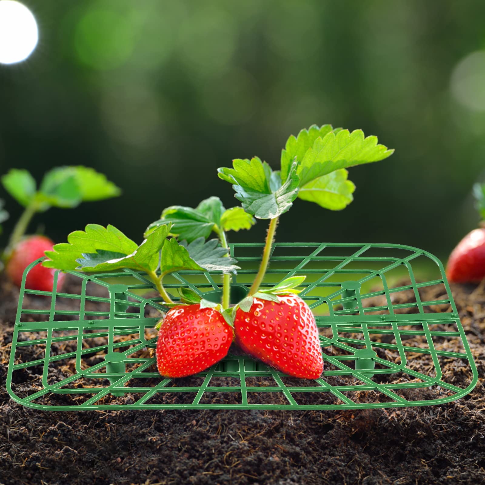 20 Pcs Ronde Aardbei Steunen Voor Tuin Aardbei Plant Ondersteuning Aardbei Stand Houder Aardbei Rekken Groeiende Frame 20 Pcs Ronde Aardbei Steunen Voor Tuin Aardbei Plant Ondersteuning Aardbei Stand Houder Aardbei Rekken Groeiende Frame