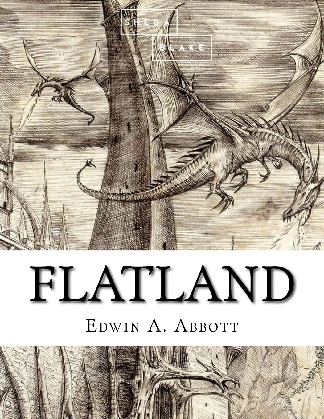 Flatland