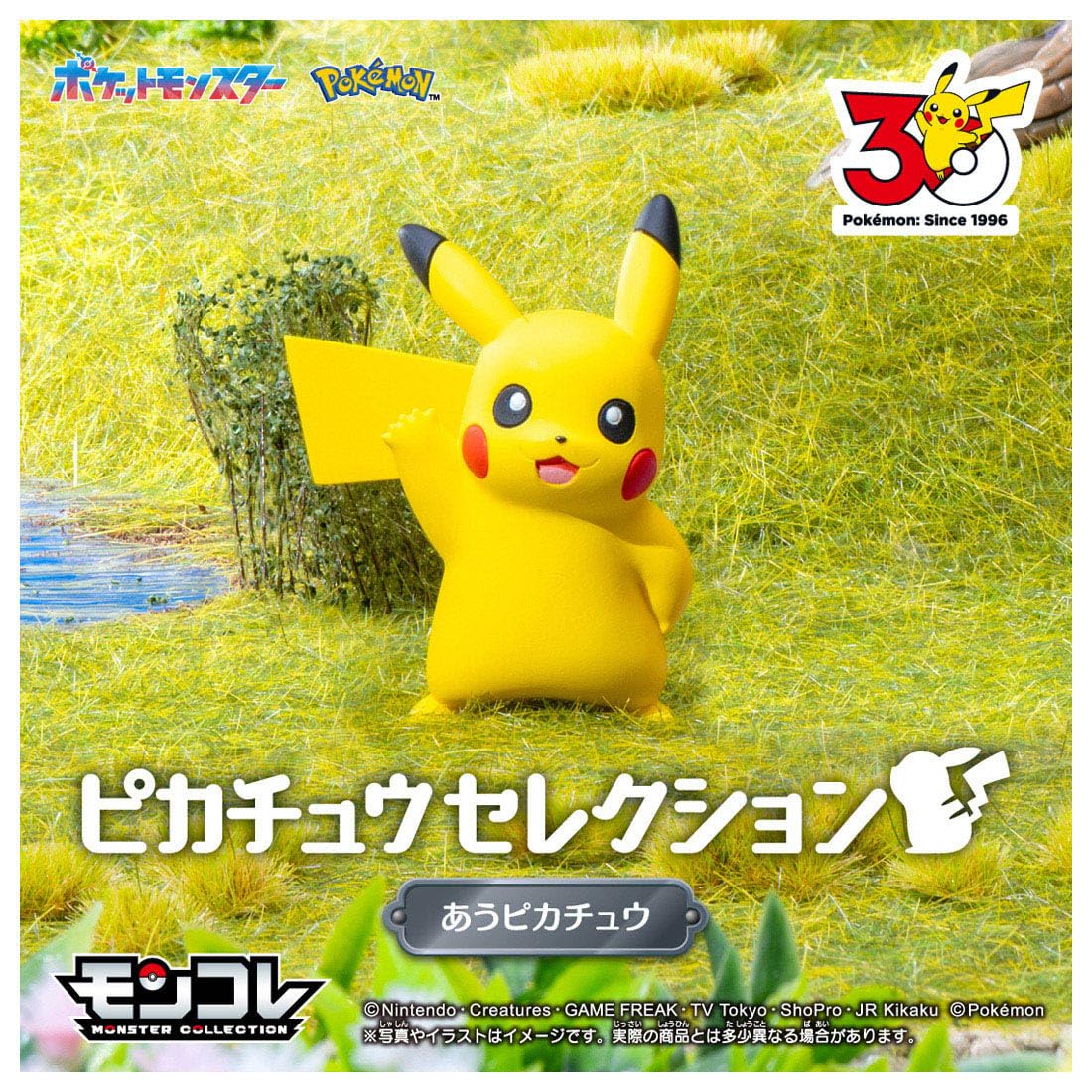 【激レア】　シンガポール　ポケモンラン　2018 メダル　ピカチュウ 激レア】 シンガポール ポケモンラン 2018 メダル ピカチュウ 激レア