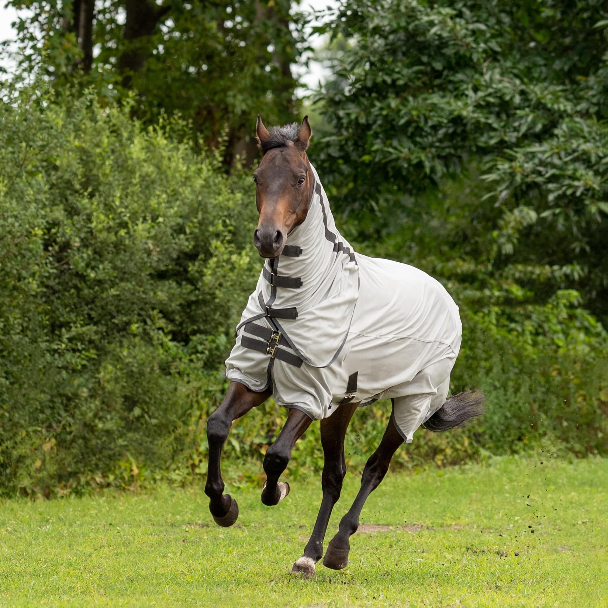 Outdoor-Fliegendecke SUNSHINE II