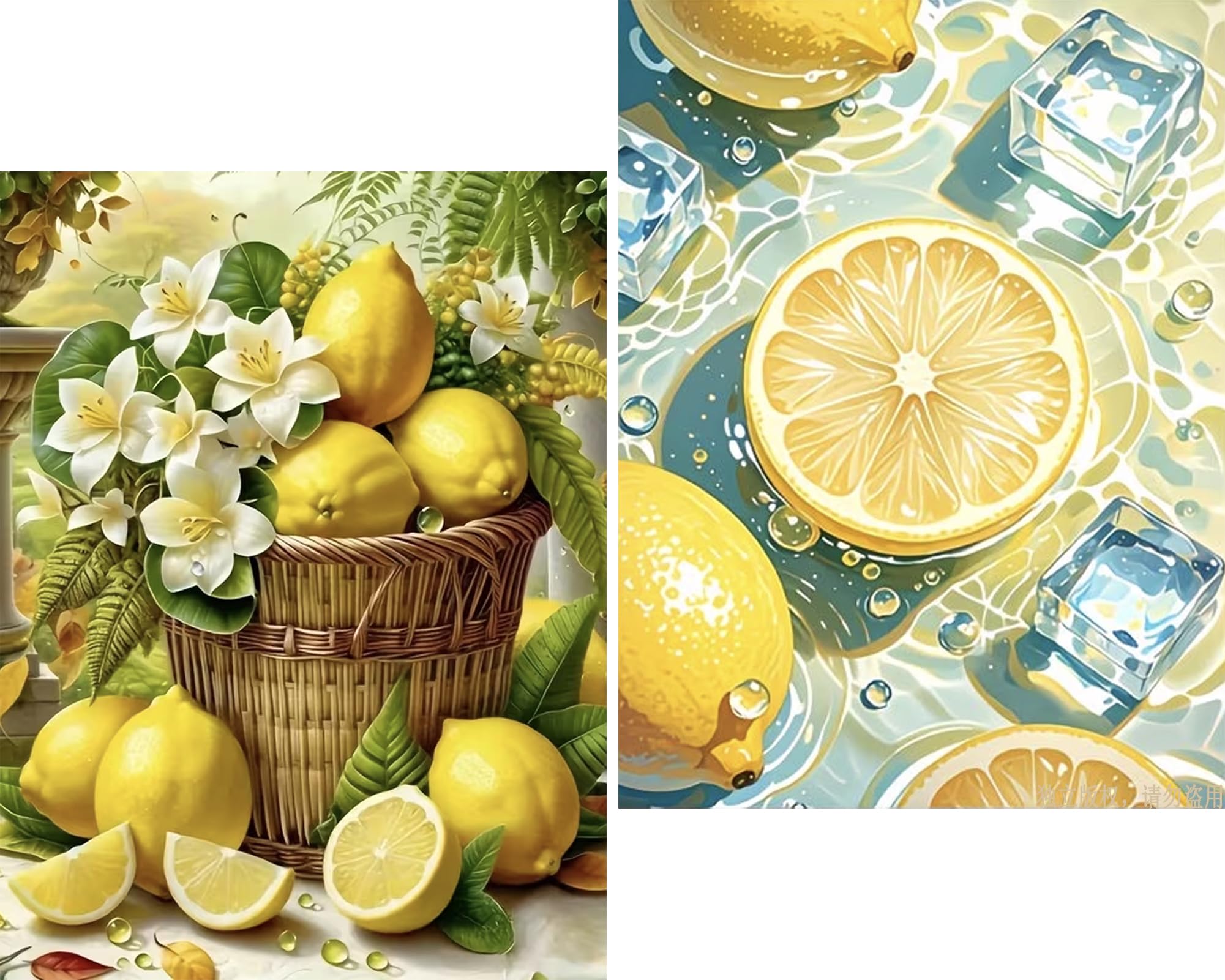 Amyaker ダイヤモンドアート キット 丸いビーズ 夏のレモン 2個セット ダイアモンドビーズ絵画キット DIY 手作り絵画 モザイクアート 5D モザイクアート ダイヤモンド塗装 全面貼り付けタイプ 30x40cm