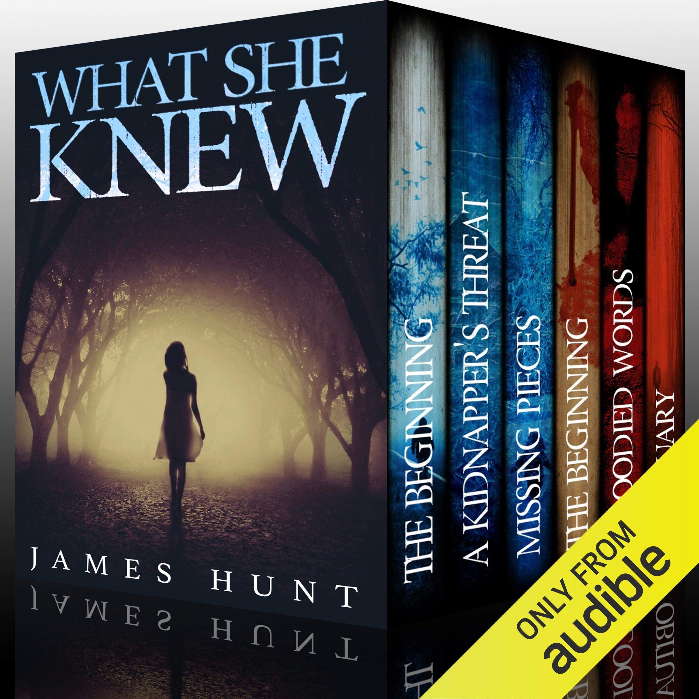 Cover art for What She Knew - Super Boxset: A Riveting Mystery Series