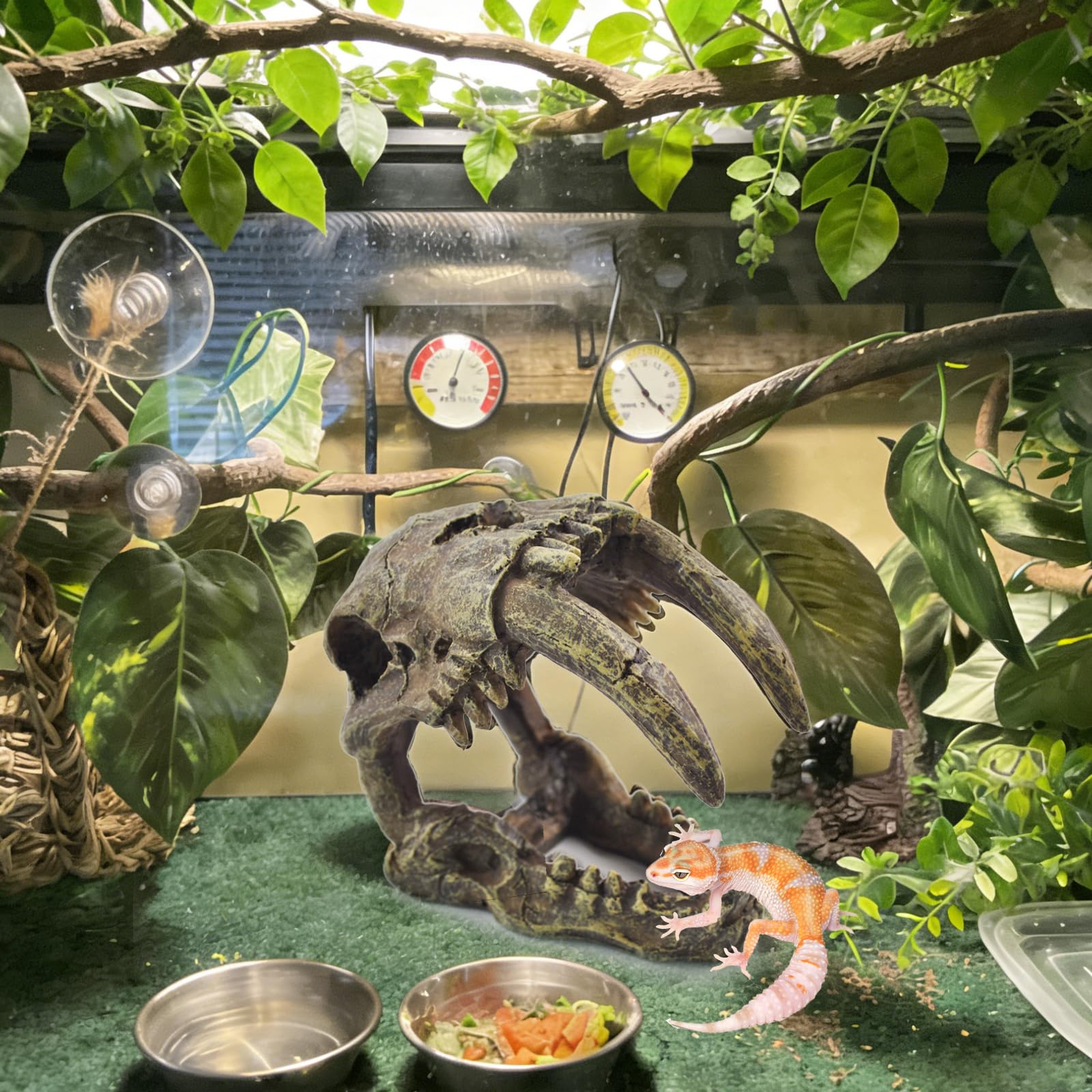 Teschio in resina per habitat, nascondiglio, decorazione per rettili, amaca, lucertola, barbuto, drago, serbatoio, accessori per rettili, rampicanti, piante rampicanti (4 pezzi)