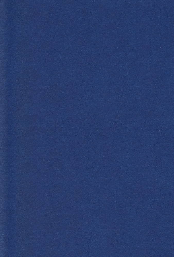 Amazon | エスケント 色画用紙 四切 こんいろ 10枚 233110 | 色