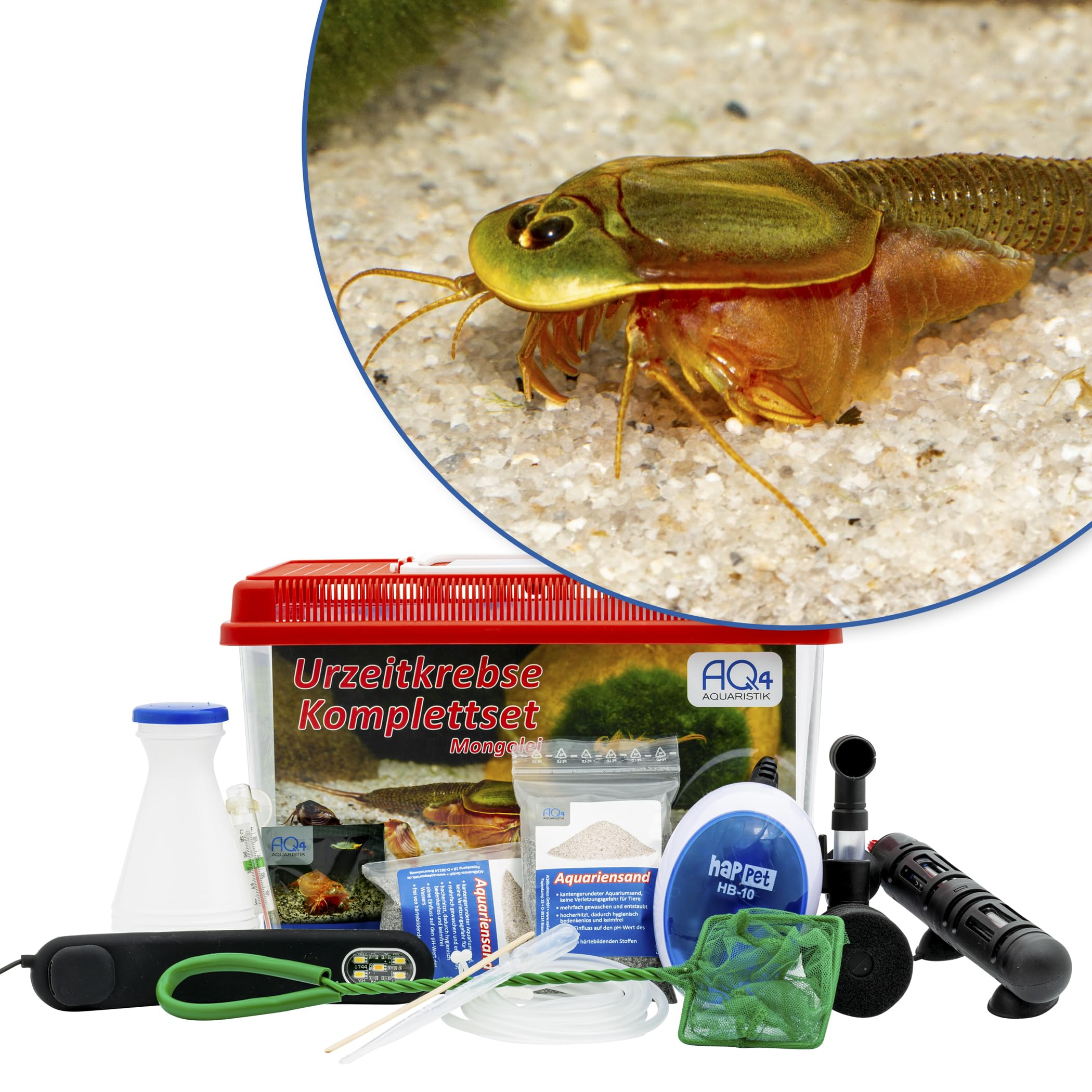 Triops sp. Mongolei Premium Komplett-Set mit Urzeitkrebs Eiern, 6 l Becken, LED-Beleuchtung, Zuchtansatz, Heizung, Filter, Luftpumpe, Kescher, Futter, Zubehör, Anleitung