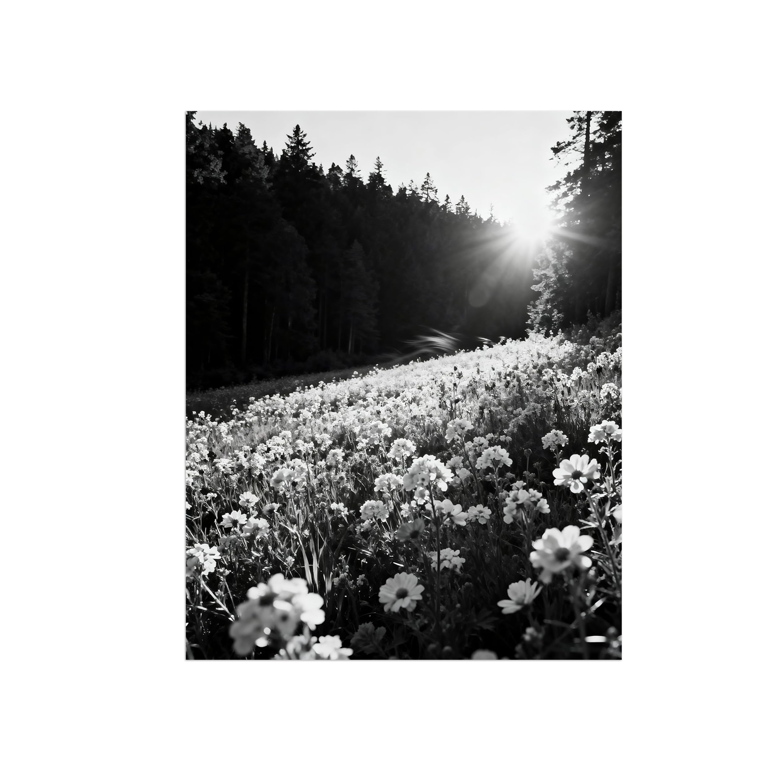 Black White Landscape Wall Art. Tree Flowers. Picture 90x117cm Framed