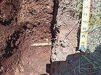 Review Image by Sundog Sundog