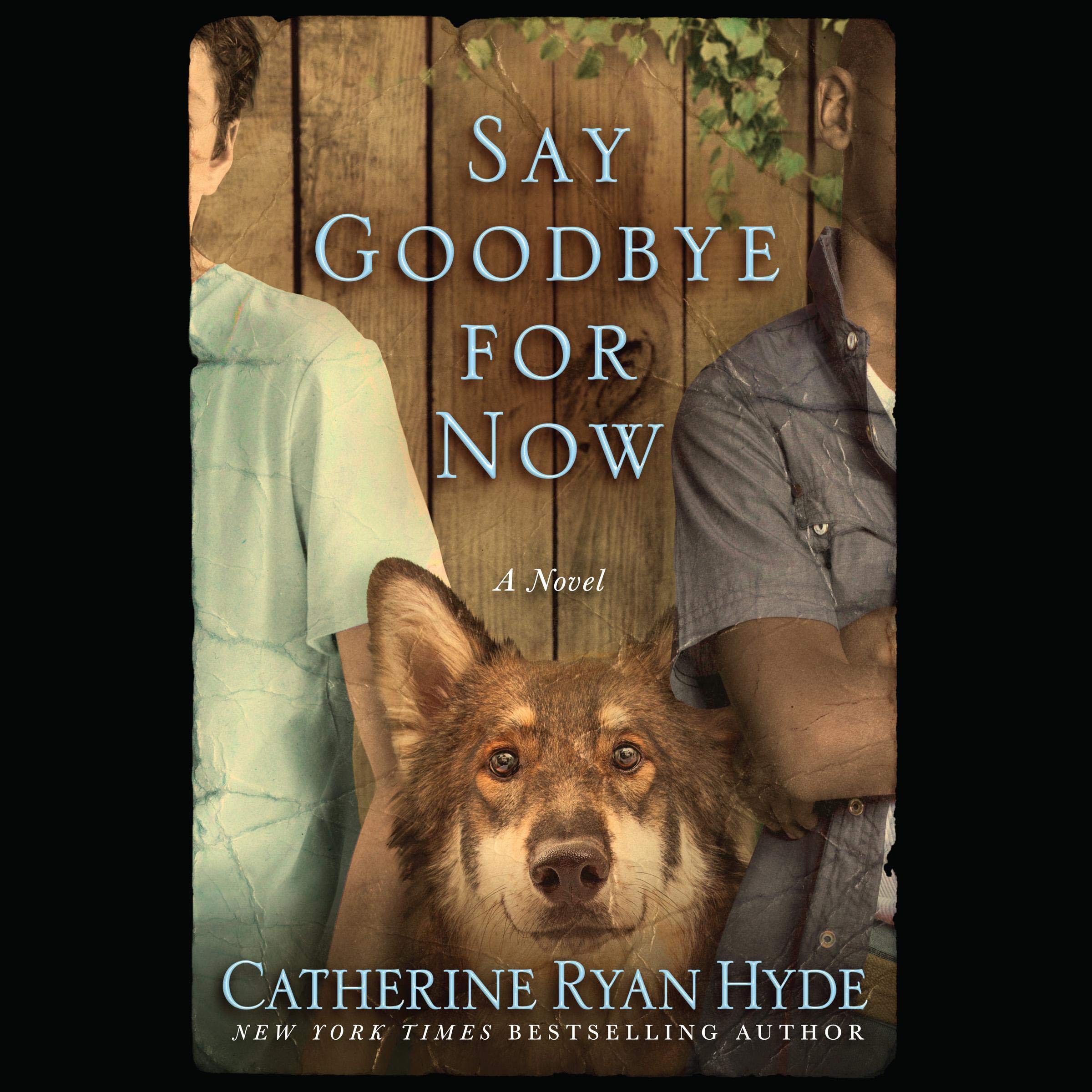 Cover art for Say Goodbye for Now