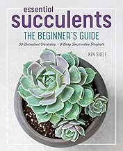 Essential Succulents: The Beginner's Guide By Ken Shelf
