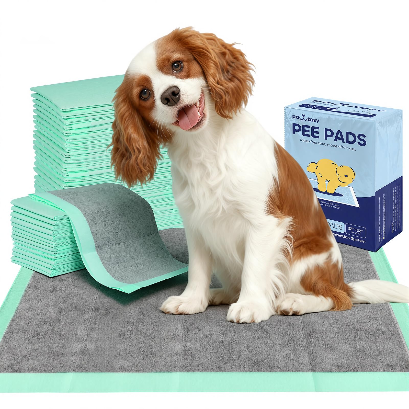 Pawtasy Puppy Pads 30 Pack, Extra Thick Charcoal Dog Training Pee Pads with Anti-Leak Edge, Super Absorbent Dog Wee Pad for Odor Control, Indoor Travel Potty Training, 56x56cm