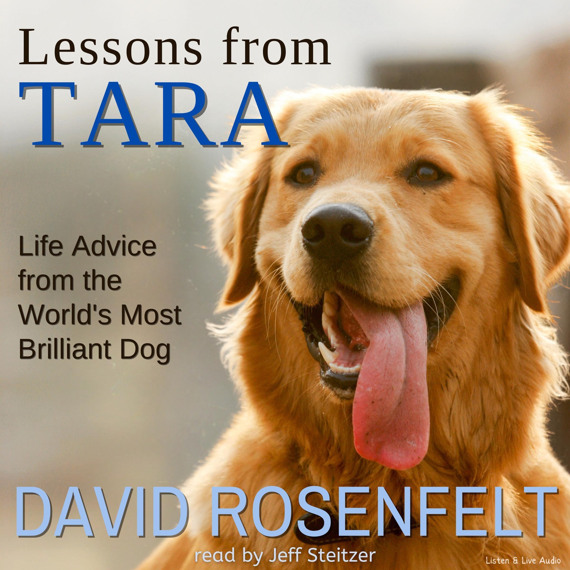 Cover art for Lessons from Tara