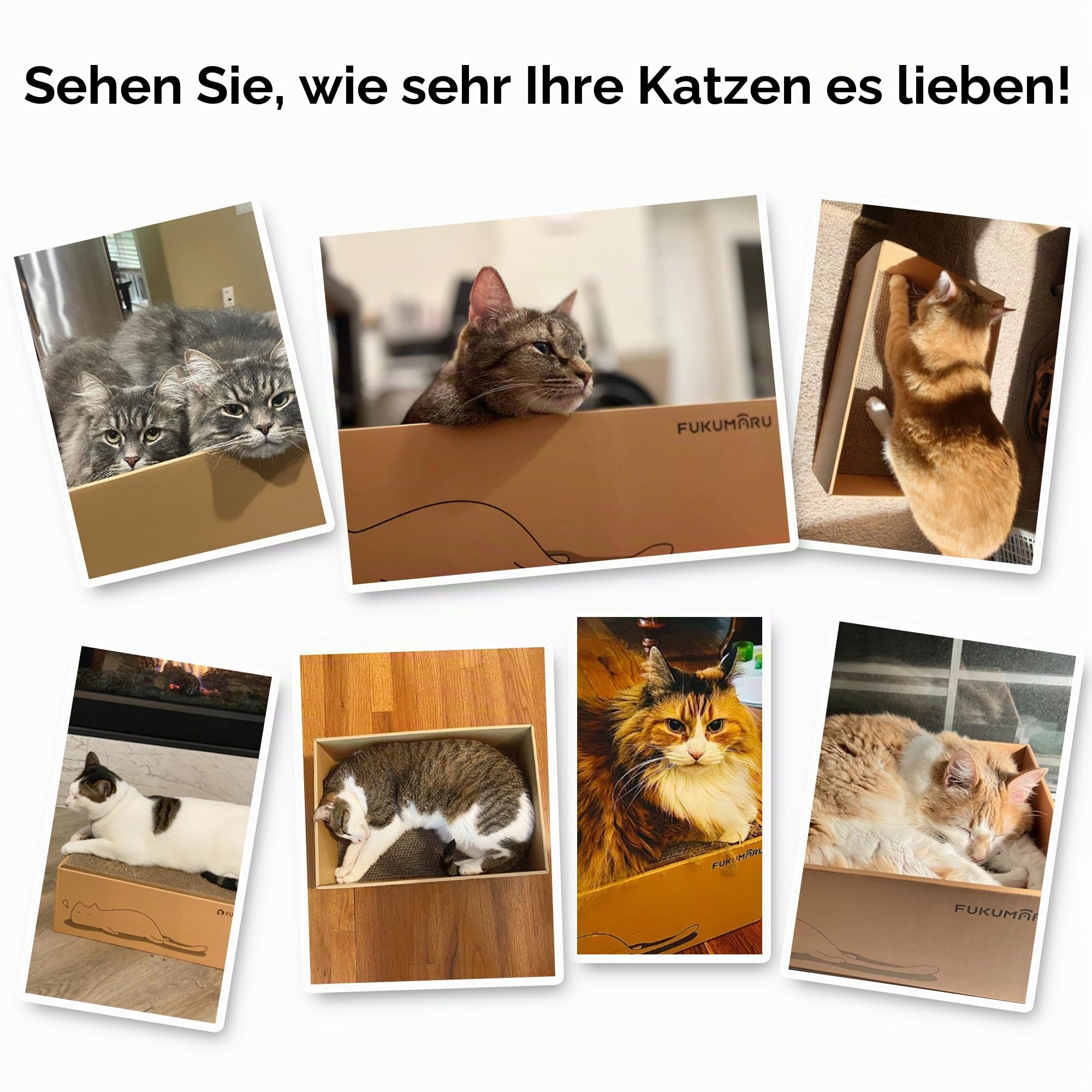 FUKUMARU Kratzbrett Katze, 5er-Set, Katzenkratzbox mit hochwertiger Karton, Doppelseitige Kratzpappe für Katzen, Widerstandsfähig Katzenmöbel, 43.5x29.5x14 cm Groß