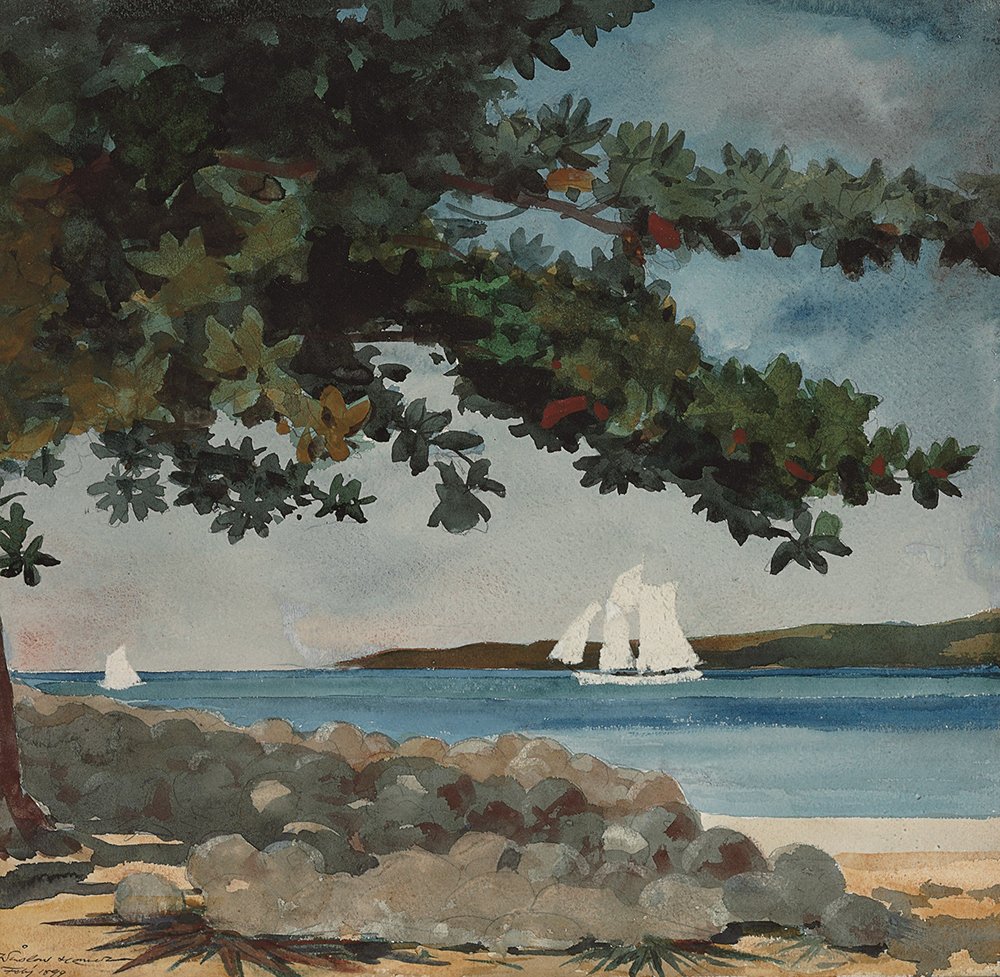 Cuadro Winslow Homer Nassau Water de tamaño pequeño impreso en mate con elegante marco marrón