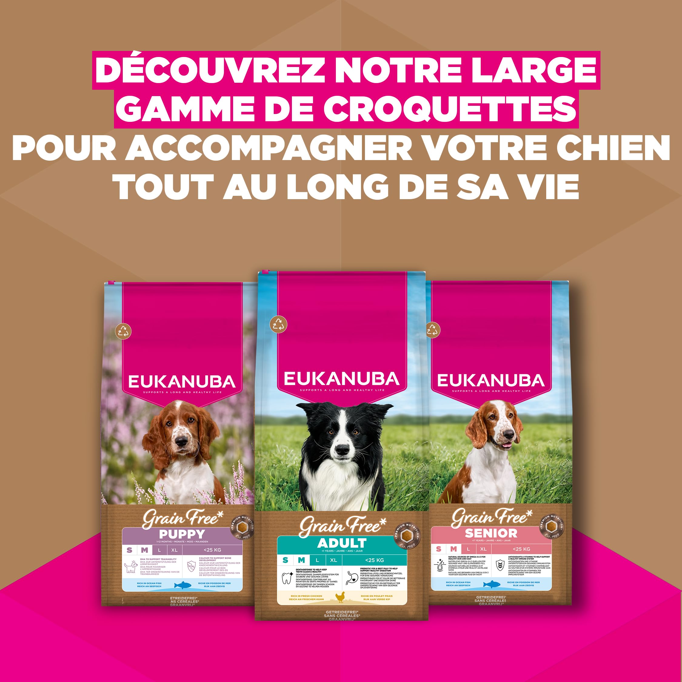 EUKANUBA Chien Adulte Grande Race sans Céréales Poulet 12 kg
