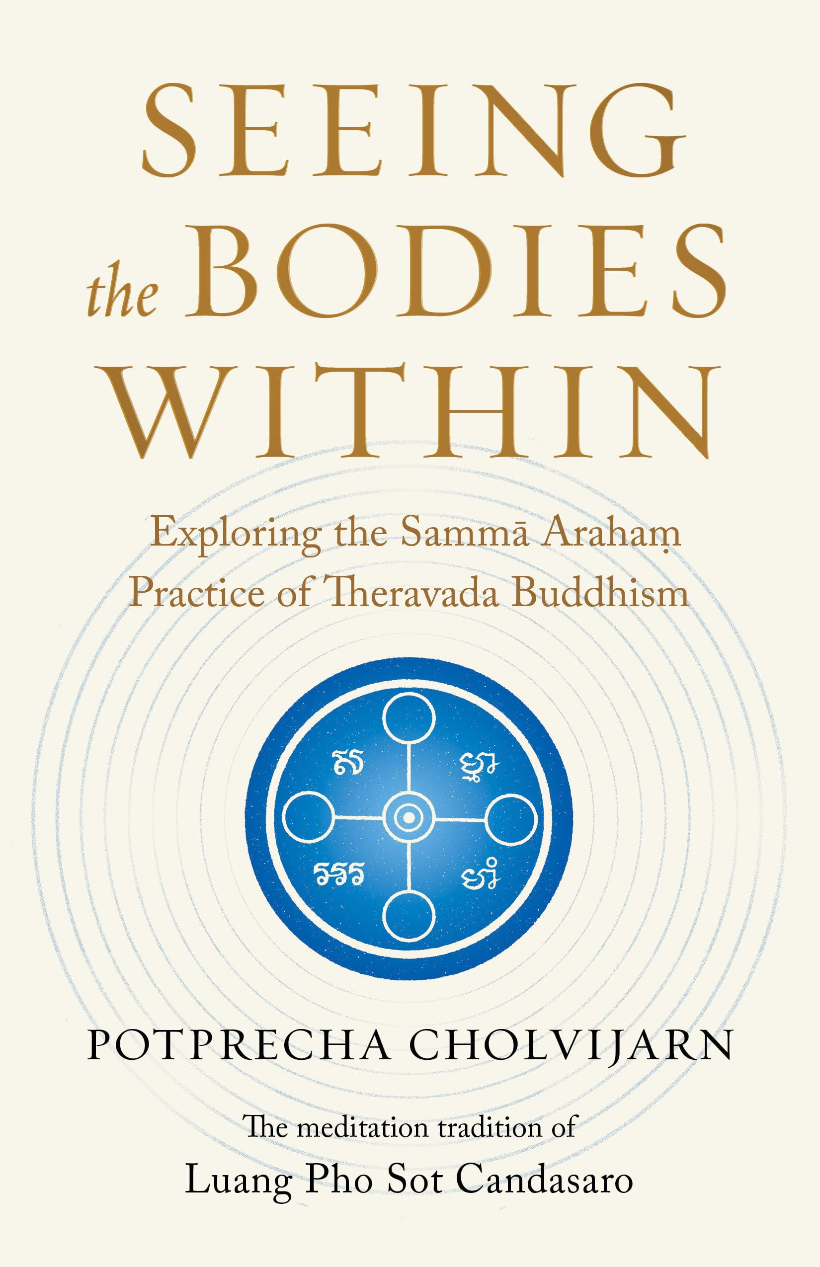 Seeing the Bodies Within by Potprecha Cholvijarn (Paperback Book)