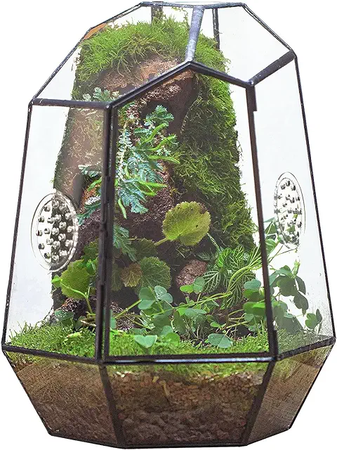 Black Geometric Glass Terrarium Planter for Insects & Succulents - 20x17.5x25cm