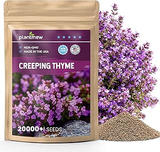 20000+pcs Creeping Thyme Seeds for Planting – Non-GMO Ground Cover Flowe...