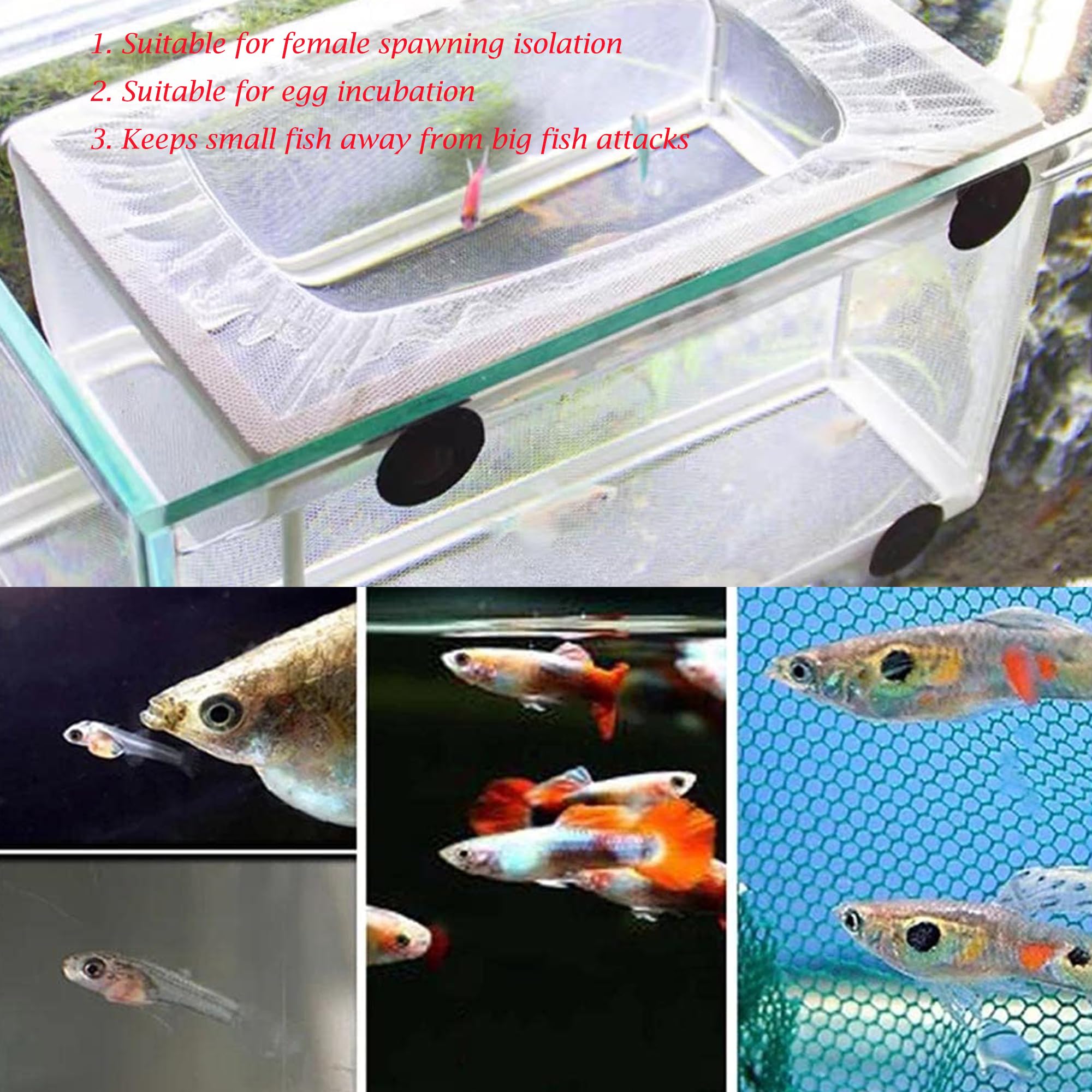 Scatola di Isolamento Allevatore di Pesci Scatola di Allevamento di Pesci Acquario Rete per Incubatoi Isolare Piantine e Sostenere l'incubazione e la Riproduzione con Ventose (26 * 15 * 15 cm)