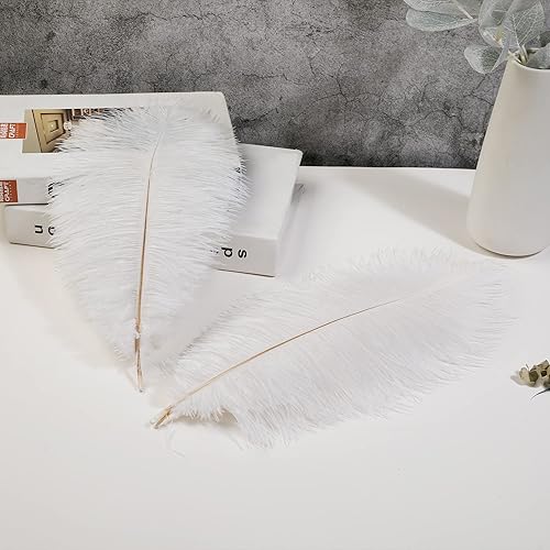 Miniatura 4 de Soarer Plumas de avestruz blancas a granel, 15 plumas naturales de 12 a 14 pulgadas para centros de mesa de boda, bailes de máscaras, jarrón y