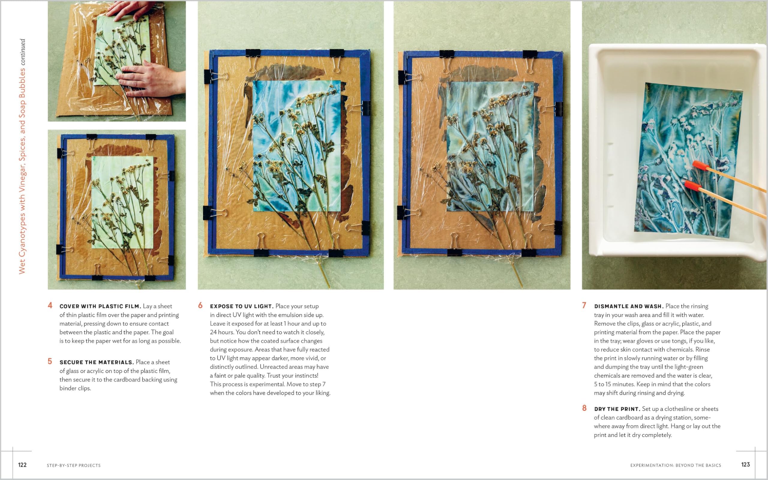 Printing with the Sun: Capturing the Beauty of Nature with Cyanotypes
