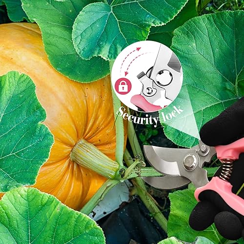 Miniatura 4 de Juego de 4 tijeras de podar de jardín con cuchillas de acero inoxidable y guantes de jardinería (rosa)