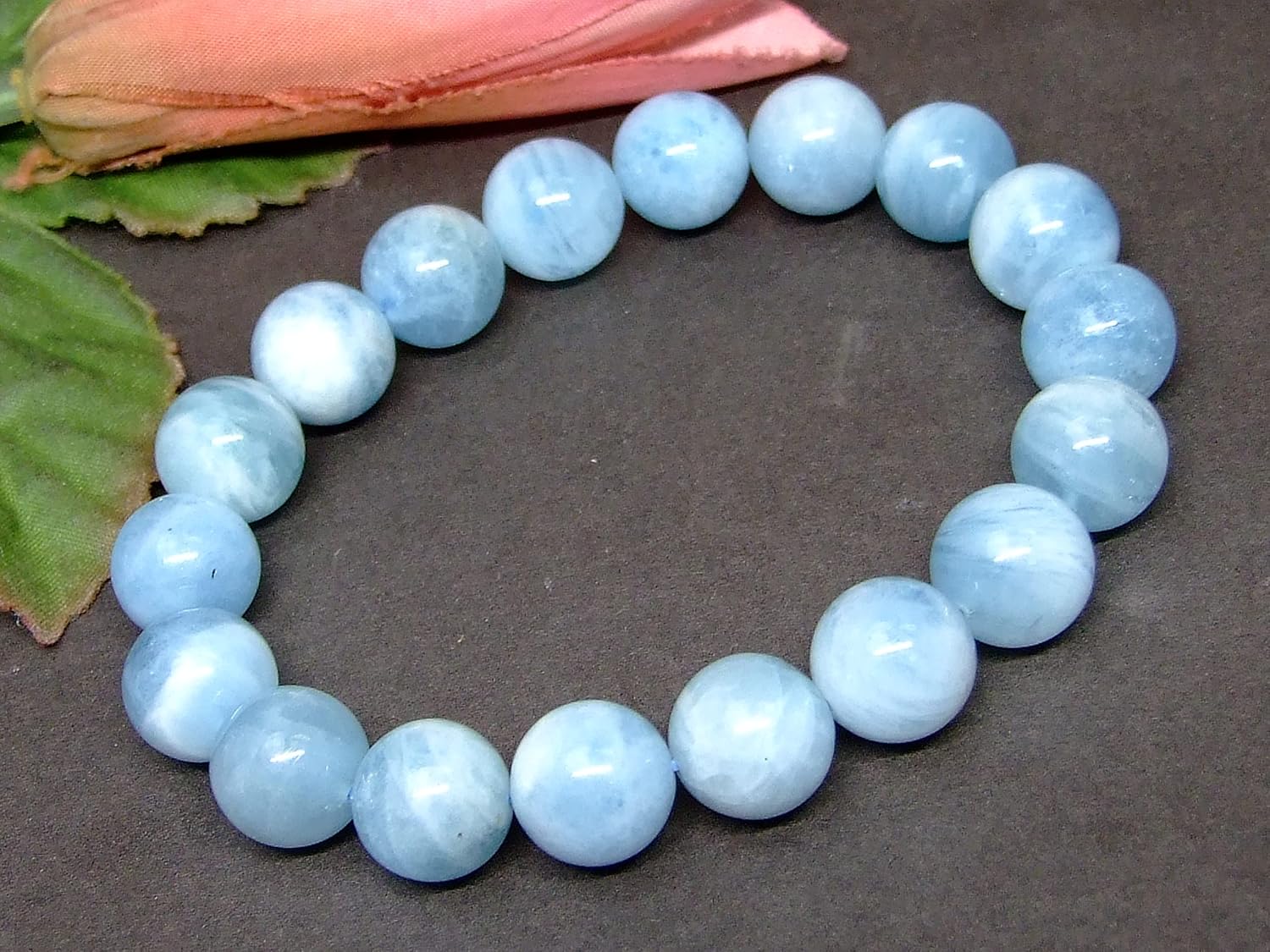 フルコンプ セボンスター カレンダー 第1弾 フルコンプ セボンスター