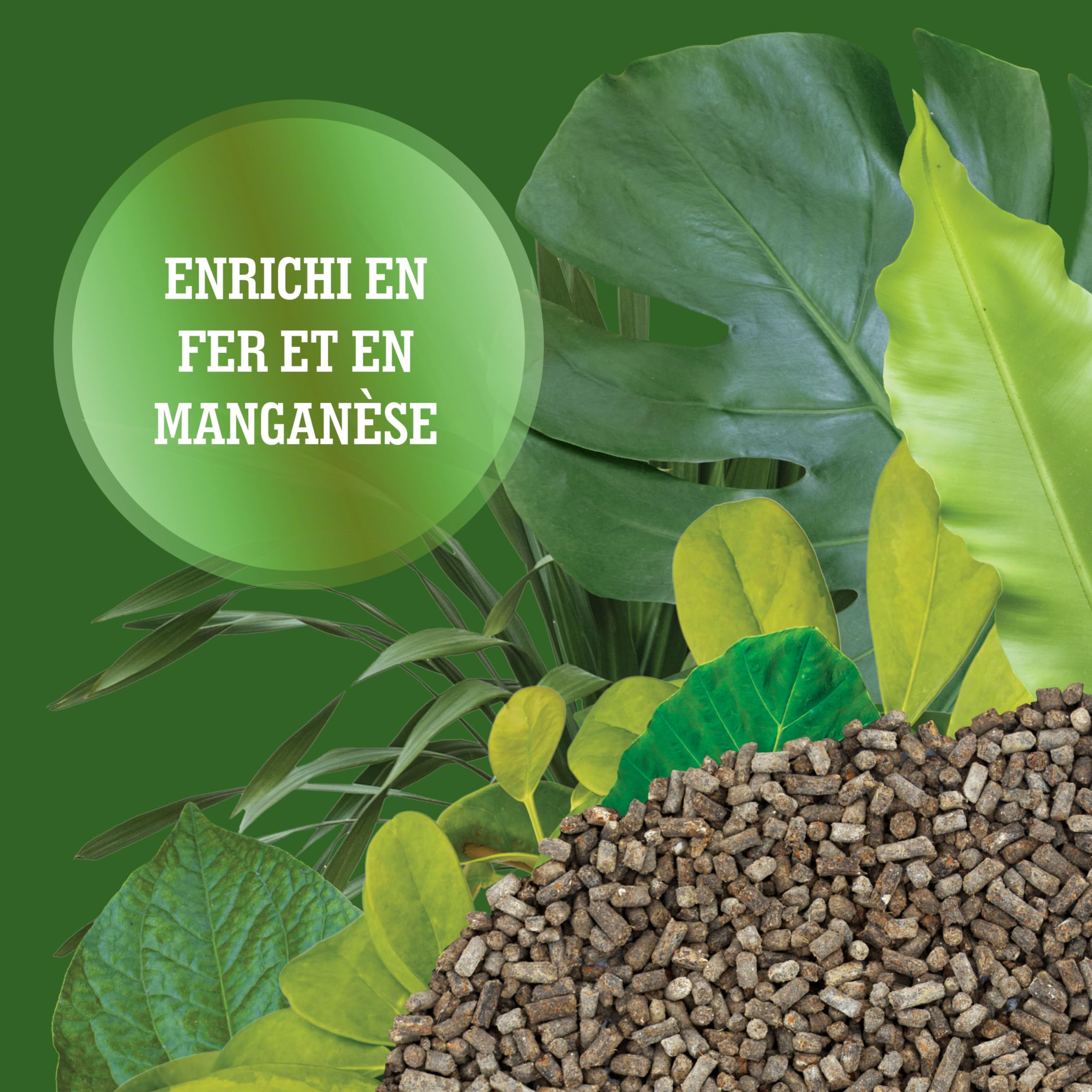 LERAVA Engrais Plantes Vertes Intrieur (800 g) - Engrais Bio avec Fer et  Manganse pour Feuillage Vigoureux -Nutrition Complte pour Plantes Vertes  ...