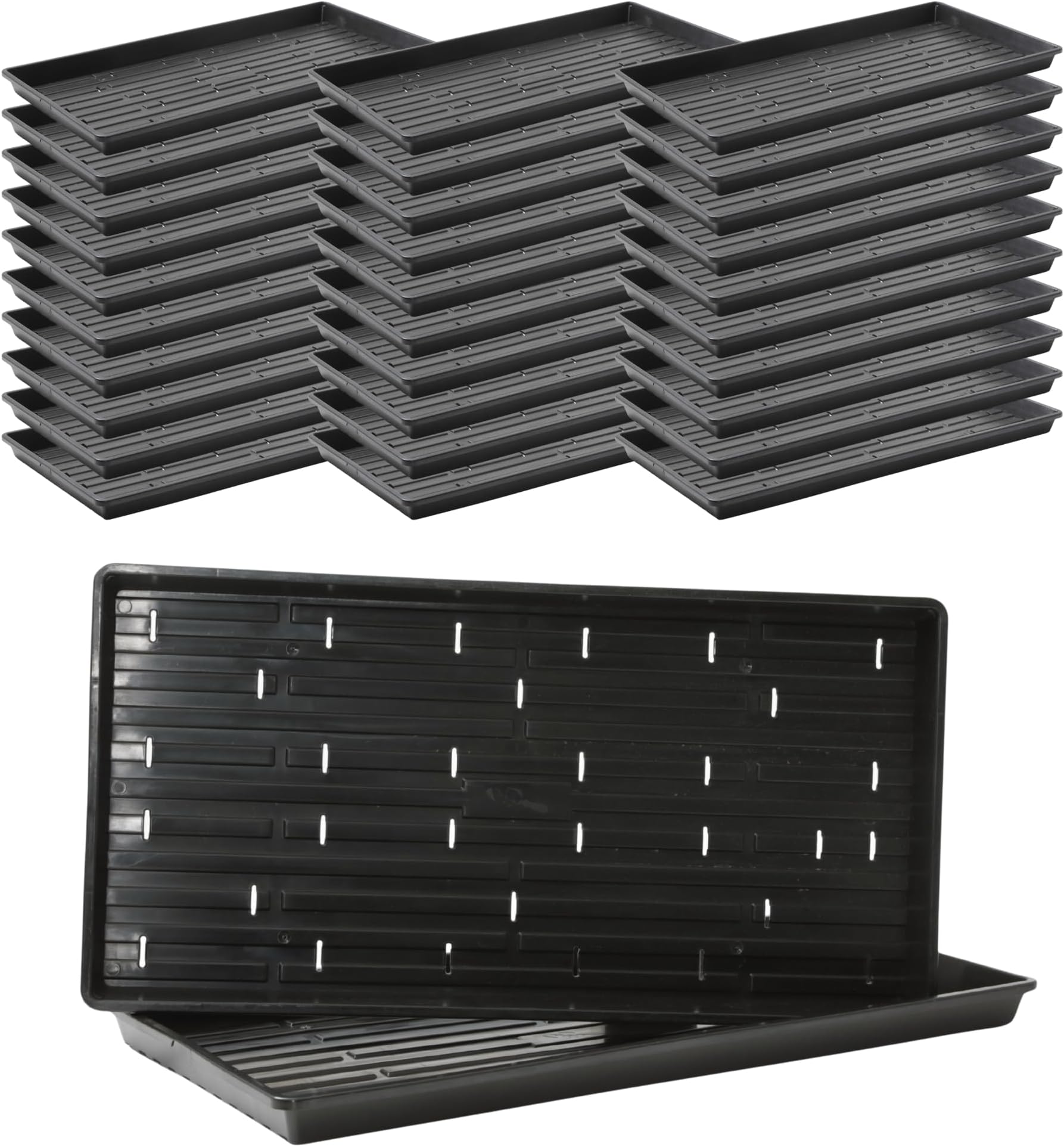 Bootstrap Farmer 1020 Shallow Microgreen Trays with Holes, 30 Pack, Black - Heavy Duty Reusable Plastic for Fodder and Sprouting
