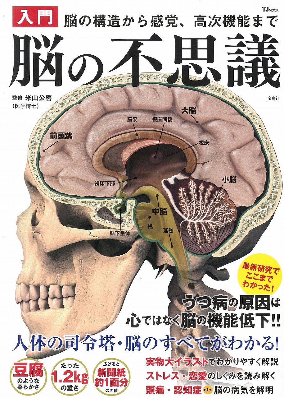 入門 脳の不思議 Tjmook 米山 公啓 本 通販 Amazon