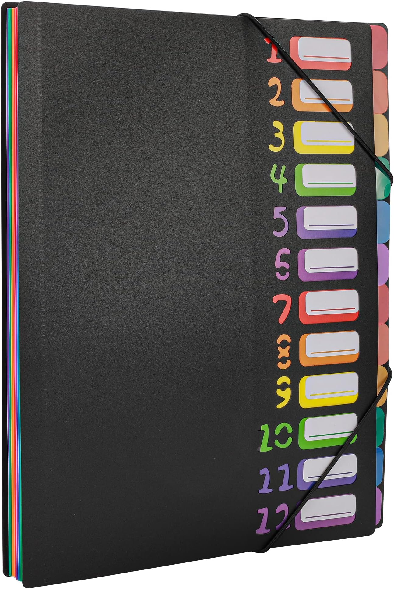 Edufun Rainbow Tab Expanding File Folder - 24 Pockets, Durable A4 Letter Size Organizer, Water-Resistant Plastic Dividers, Home/Office/School Document Holder (Black)