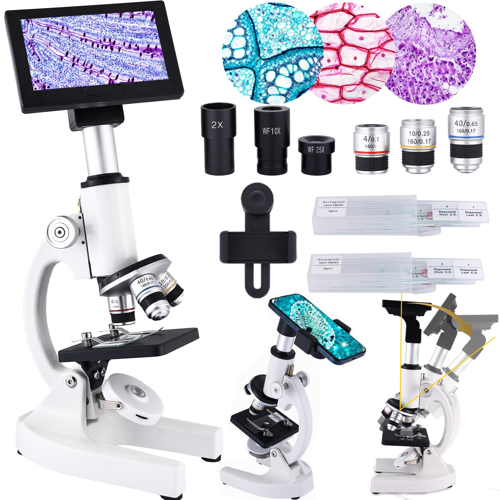 Amazon.com: Herwicm Microscope 40X-2500X Magnification, HD Wide
